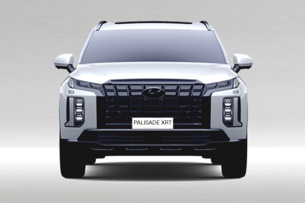 New PALISADE