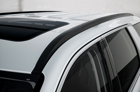 New PALISADE
